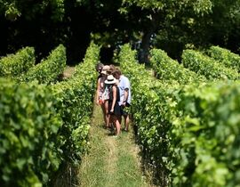 Balade Œnotouristique sur la Route des Châteaux du Medoc Balade Œnotouristique sur la Route des Châteaux du Medoc