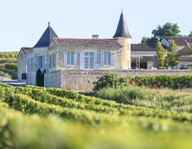 Journée Découverte des Vignobles de Saint-Emilion et Médoc Journée Découverte des Vignobles de Saint-Emilion et Médoc