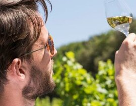 Balade Culturelle et Dégustation de Vins à Châteauneuf-du-Pape Balade Culturelle et Dégustation de Vins à Châteauneuf-du-Pape