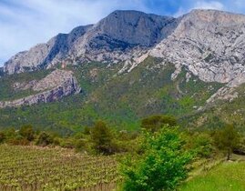 Balade Œnotouristique dans les Vignobles des Côtes-de-provence