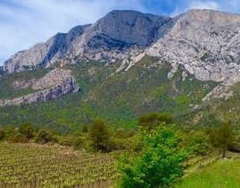 Balade Œnotouristique dans les Vignobles des Côtes-de-provence Balade Œnotouristique dans les Vignobles des Côtes-de-provence