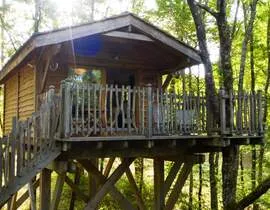 Nuit Insolite en Cabane Perchée près de Bergerac