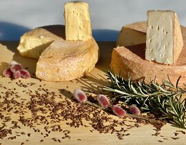 Atelier Fabrication de Fromage à Toulouse Atelier Fabrication de Fromage à Toulouse