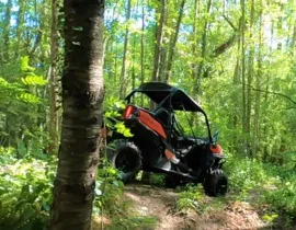 Randonnée en Buggy près de Lille