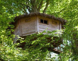 Nuit en Cabane dans les Arbres près de Saint-Lô Nuit en Cabane dans les Arbres près de Saint-Lô