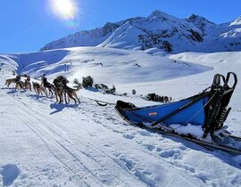 Randonnée en Chiens de Traîneau à La Mongie Randonnée en Chiens de Traîneau à La Mongie