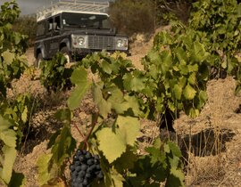 Week End Œnologique au Domaine Riberach près de Perpignan Week End Œnologique au Domaine Riberach près de Perpignan