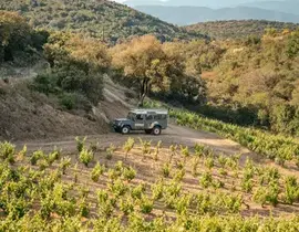 Week End Œnologique au Domaine Riberach près de Perpignan Week End Œnologique au Domaine Riberach près de Perpignan