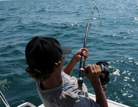 Pêche au Gros à Marseillan Pêche au Gros à Marseillan