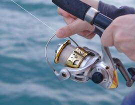 Pêche Sportive près d'Agde Pêche Sportive près d'Agde