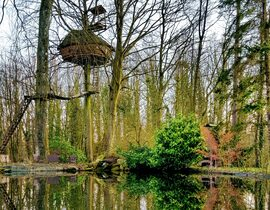 Cabane dans les Arbres avec Spa près du Touquet Cabane dans les Arbres avec Spa près du Touquet