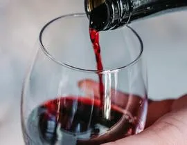Journée d'Initiation à l'Œnologie à Tours