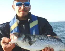 Pêche Sportive à Grandcamp-Maisy Pêche Sportive à Grandcamp-Maisy