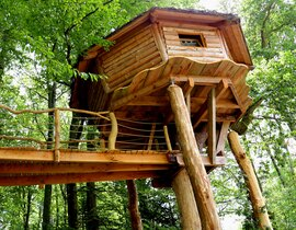 Nuit en Cabane dans les Arbres près d'Épinal Nuit en Cabane dans les Arbres près d'Épinal