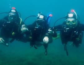 Initiation à la Plongée près de Collioure à Argelès-sur-Mer Initiation à la Plongée près de Collioure à Argelès-sur-Mer