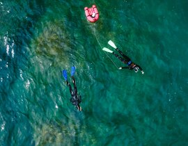 Randonnée Palmée près de Collioure à Argelès-sur-Mer Randonnée Palmée près de Collioure à Argelès-sur-Mer