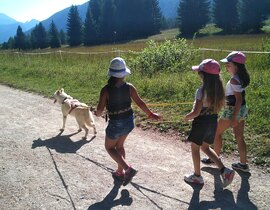 Balade en Cani-Rando près d'Annecy Balade en Cani-Rando près d'Annecy