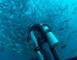 Initiation à la Plongée à Saint-Cyprien près de Perpignan Initiation à la Plongée à Saint-Cyprien près de Perpignan