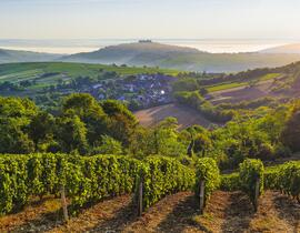 Balade Œnotouristique à Sancerre Balade Œnotouristique à Sancerre