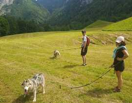 Balade en Cani-Rando près de Thonon-les-Bains Balade en Cani-Rando près de Thonon-les-Bains