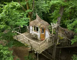 Cabane dans les Arbres près de Dole Cabane dans les Arbres près de Dole