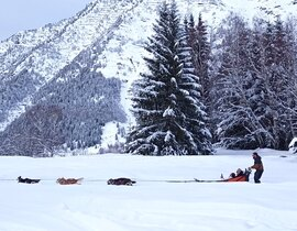 Randonnée en Chiens de Traîneau à Barèges Randonnée en Chiens de Traîneau à Barèges