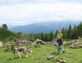 Balade en Cani-Rando au Val d'Azun Balade en Cani-Rando au Val d'Azun