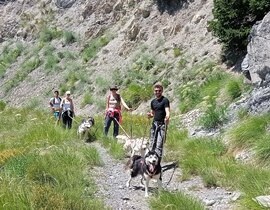 Balade en Cani-rando à Auron Balade en Cani-rando à Auron