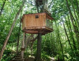 Cabane dans les Arbres près de Saint-Marcellin