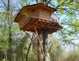 Cabane dans les Arbres près de Châteauroux