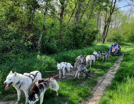 Randonnée en Cani-Kart près de Valence Randonnée en Cani-Kart près de Valence
