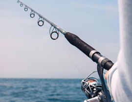 Pêche Sportive à Antibes - Port de Golfe-Juan Pêche Sportive à Antibes - Port de Golfe-Juan