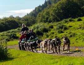 Randonnée en Cani-Kart près de La Mongie Randonnée en Cani-Kart près de La Mongie