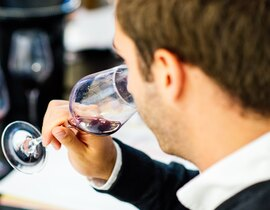 Initiation à l'œnologie sur 2 jours près de Cannes