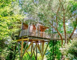 Cabane dans les Arbres près de Langon