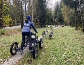 Balade en Cani-Kart à Chamonix Mont Blanc