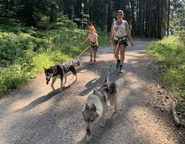 Balade en Cani-Rando à Chamonix Mont-Blanc