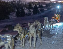 Balade nocturne en traîneau et dîner près d'Ax-les-Thermes