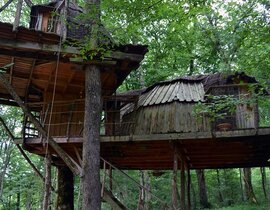 Nuit en Cabane Familiale dans les Arbres près de Dole