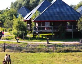 Nuit en Lodge au Zoo de Cerza à Lisieux