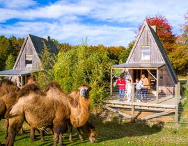 Nuit en Cabane sur Pilotis au Zoo de Cerza Nuit en Cabane sur Pilotis au Zoo de Cerza