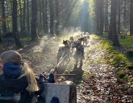 Balade en Cani-Kart près de Clermont-Ferrand Balade en Cani-Kart près de Clermont-Ferrand