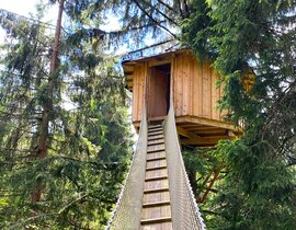 Cabane dans les Arbres face au Mont Blanc