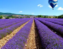 Vol en Montgolfière à Banon