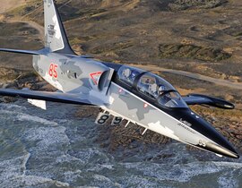 Vol en Avion de Chasse L-39 à Reims