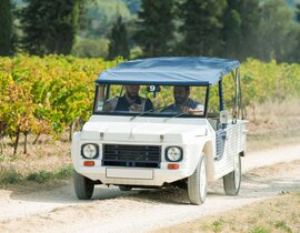 Balade en Méhari Electrique entre Garrigue et Pont du Gard Balade en Méhari Electrique entre Garrigue et Pont du Gard