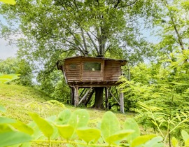 Cabane dans les Arbres avec Sauna près de Bayonne Cabane dans les Arbres avec Sauna près de Bayonne