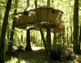 Nuit en Cabane dans les Arbres à Magné Nuit en Cabane dans les Arbres à Magné