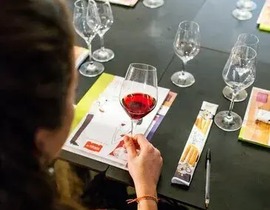 Cours d'Œnologie à Paris 2ème