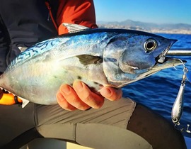 Pêche Sportive à Nice